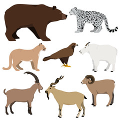 Vector set of cartoon mountain animals. Grizzly bear, mountain goat, markhor, nubian ibex, mouflon, puma, snow leopard, golden eagle.