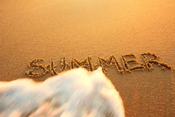 The concept of the end of summer. Concept summer, recreation, tr