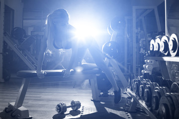 athletic fitness woman pumping up muscles with dumbbells in the gym