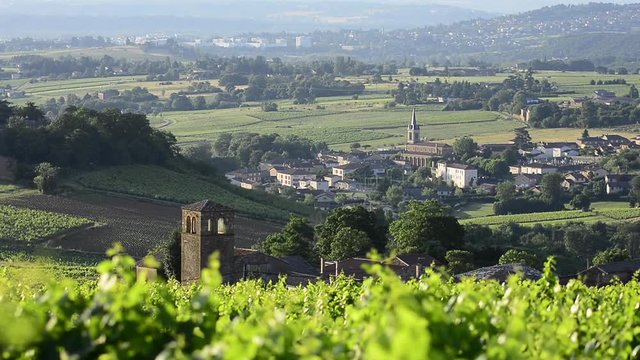 Landscape and village of Beaujolais after sunrise, Burgundy