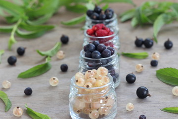 Beeren Mix in Gläschen mit Minze