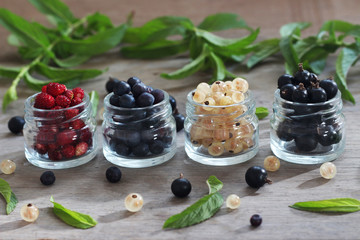 Beeren Mix in Gläschen mit Minze