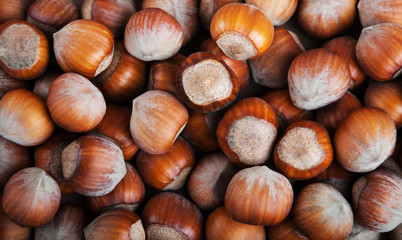 hazelnuts - food background