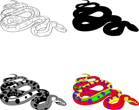 illustration with the image of a snake made contour , silhouette, black and white and color techniques. Vector