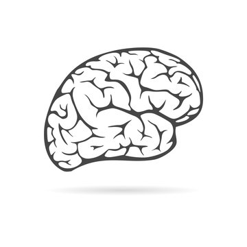 Brain icon, Brain Logo silhouette