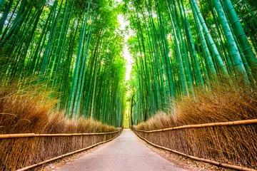 Fotobehang Kyoto, Japan bij het Bamboebos. © SeanPavonePhoto
