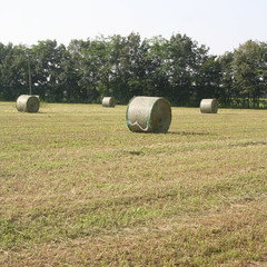 balle di fieno su campo