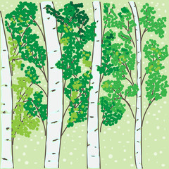 hand-drawing the birch grove on a green background
