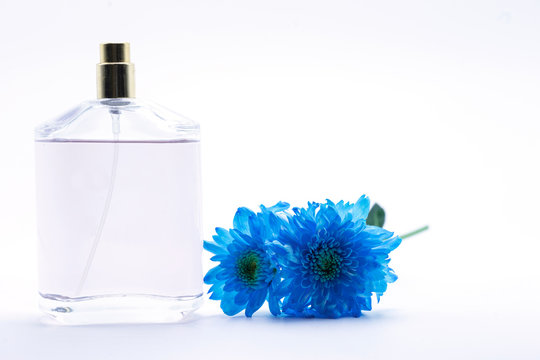 Fototapeta blue daisy flower navy blue daisy flower and perfume on white  isolate background text word on background daisy flower beautiful daisy lovely daisy pretty daisy fresh daisy