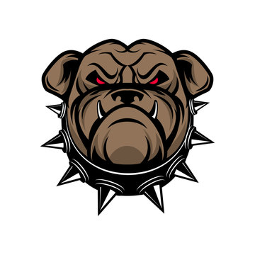 Bulldog head isolated on white background. Sport team mascot.