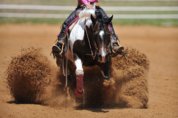 The front view of the rider in leather chaps sliding his horse forward and raising up the clouds of...