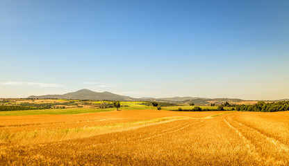 Fototapeta na wymiar Tuscan scenery