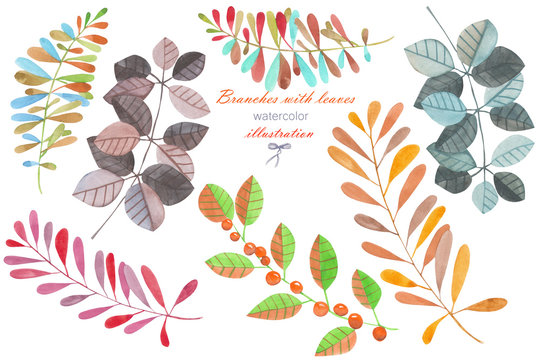 Set, collection of the watercolor abstract branches with leaves, hand painted isolated on a white background