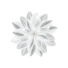 White paper flower in origami technique isolated on a white background. Vector illustration, eps10