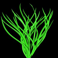 Illustration of abstract bright green tussock on black background - 116015463
