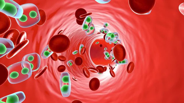 Animation of drug molecules floating in the Bloodstream.
