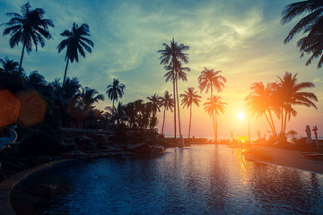 Sunset on the tropical coast, the silhouettes of the palm trees and pool.