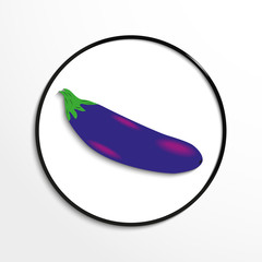 Eggplant. Vector icon.