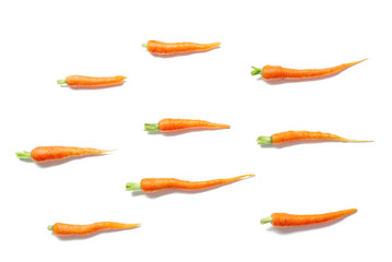 Carrots on white background