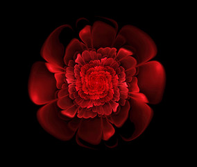 Obrazy  Streszczenie fraktal czerwony kwiat