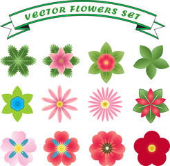 Colorful nature flower set