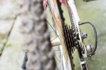 Geer on the bike wheel shallow