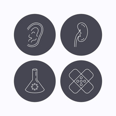 Lab bulb, medical plaster and ear icons.