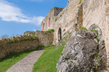 Fototapeta na wymiar Castle Beckov, Slovakia