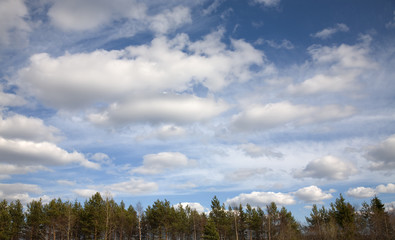 Clouds above a wood