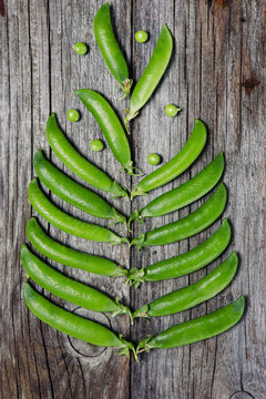 Peas are laid out in the form of a tree on a wooden background
