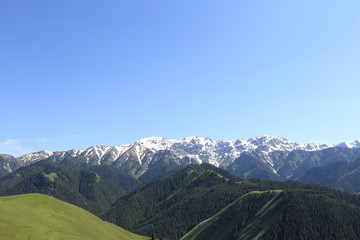 beautiful landscape with mountain forest and snow capped mountain under blue sky
