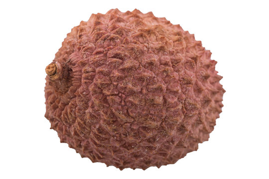 Fresh lychees on white background