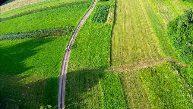 Group of athletes running together on a 10km long nature trail. Aerial drone view.athletes who run 10km / RIBNICA, SLOVENIA,JULY 2 2016