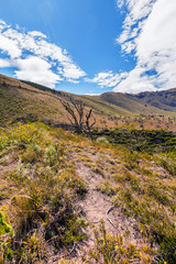 The Andes Mountains The Second Highest After The Himalayas