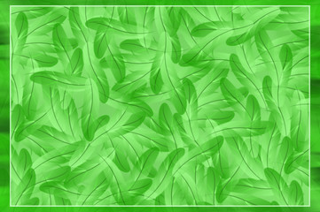 Abstract green feathers illustration background
