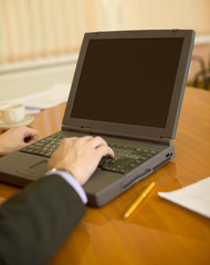 Fototapeta na wymiar Business people planning on the laptop