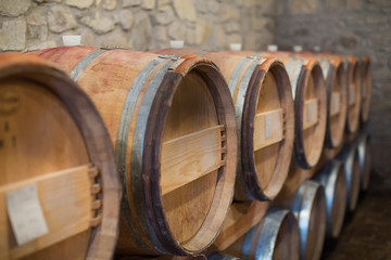 Wine Barrels in cellar