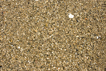 Sandy ground on a beach