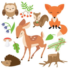 Woodland animals vector illustration