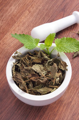 Fresh green and dried lemon balm with mortar, herbalism, alternative medicine