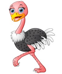 Funny ostrich cartoon isolated on white background