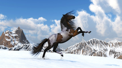 Fototapeta na wymiar Horse against mountains