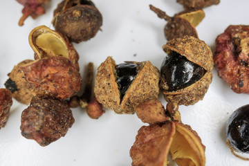 Asia common spices - Zanthoxylum