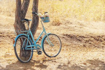 Fototapeta na wymiar Bicycle near tree