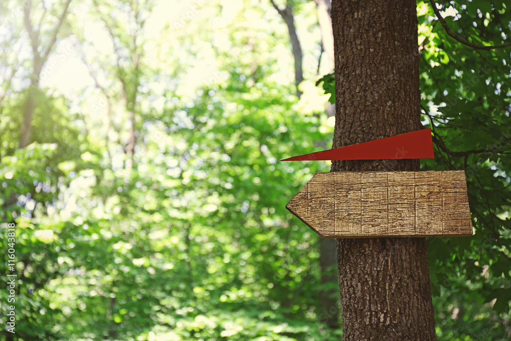 Wall mural Tree with a sign and arrow