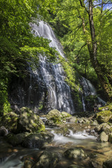 Fototapeta premium Wodospad skąpany w słońcu (Ryusoga Falls)