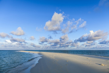 朝の砂浜