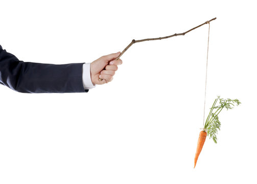 Motivation concept of hanging carrot on stick, isolated on white