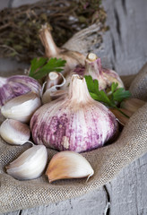Purple garlics on a napkin on a wooden rustic table