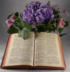 In Gedanken mit der Bibel